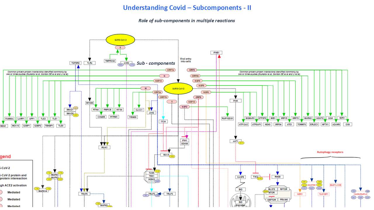 A slide from a case study about Eigengram's research - Slide 14